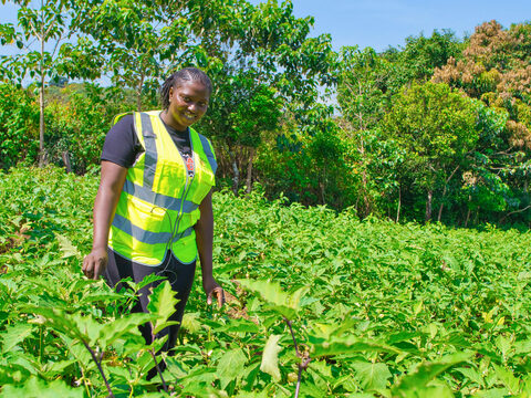 Young farmer standing in a green field in Guinea