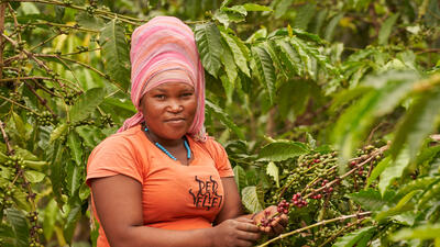 Ugandan coffee grower inspects her crop